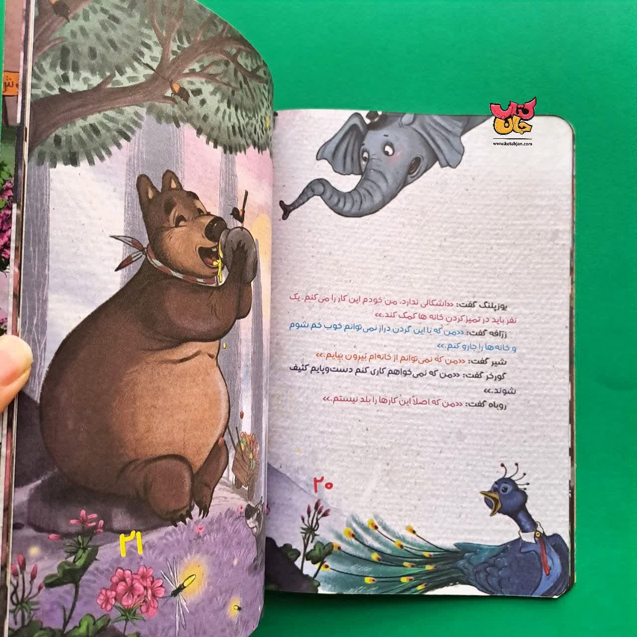 کتاب یوزپلنگ مهربان ترین حیوان وحشی دنیا از مجموعه انجمن مخفی حیوانات 6