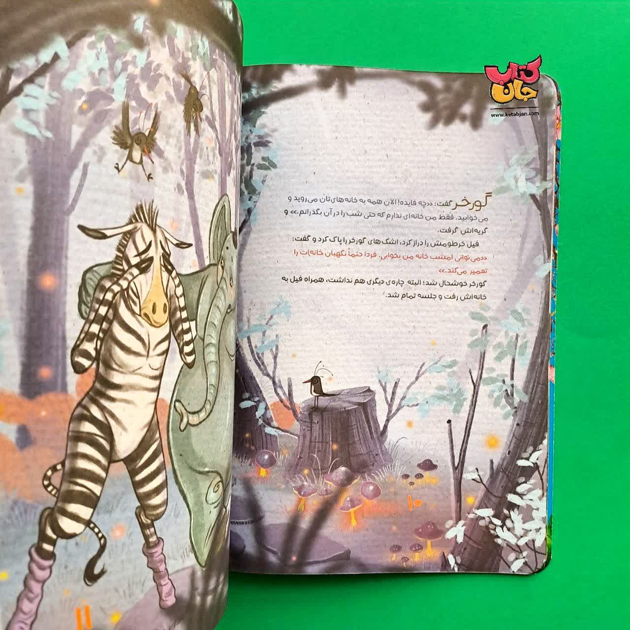 کتاب چرا این قدر می خندی میمون از مجموعه انجمن مخفی حیوانات 10