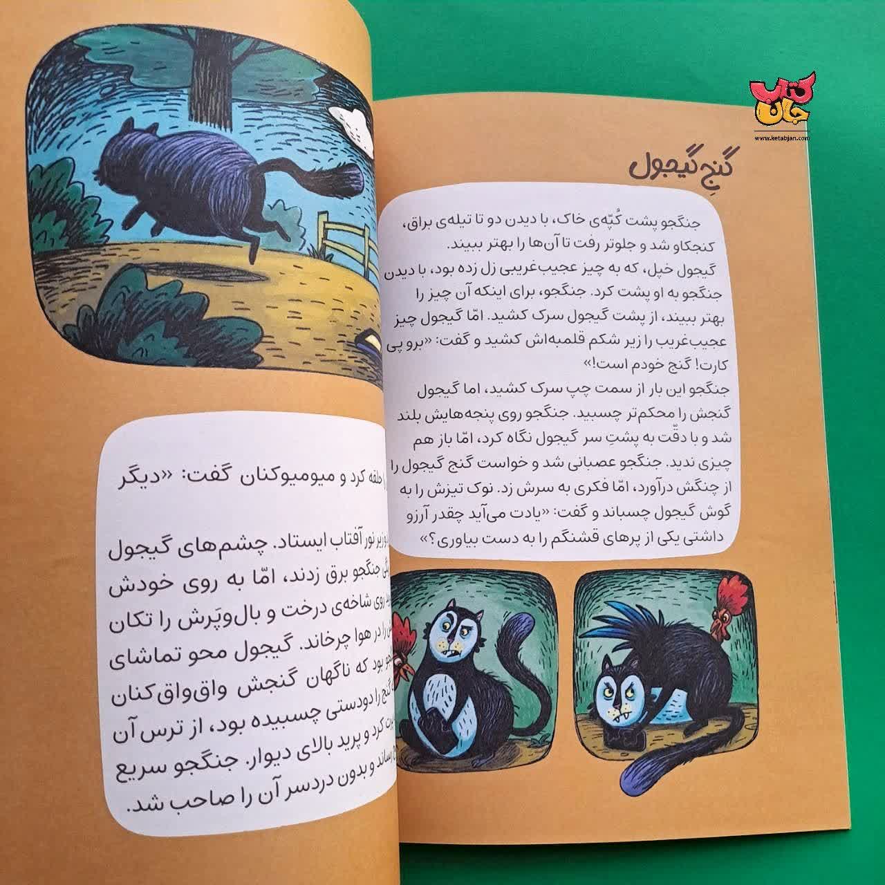 کتاب گنج خروس جنگجو از مجموعه کودک امروز 