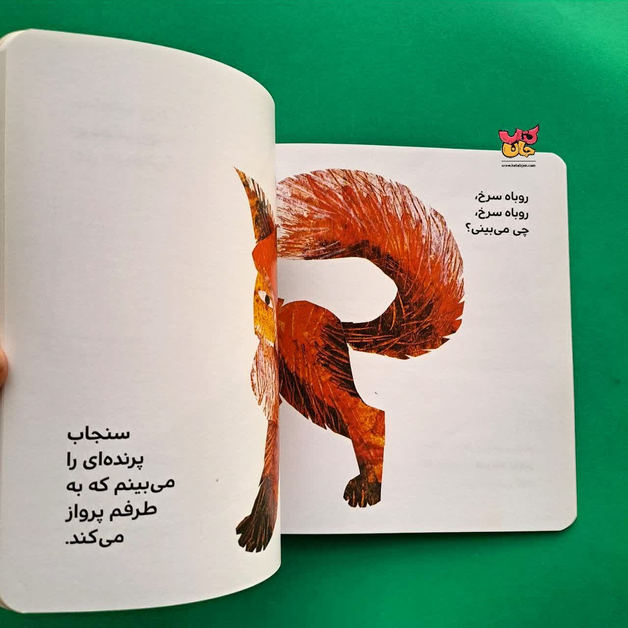 کتاب بچه خرس بچه خرس چی می بینی از مجموعه بهترین های جهان برای نو پاها