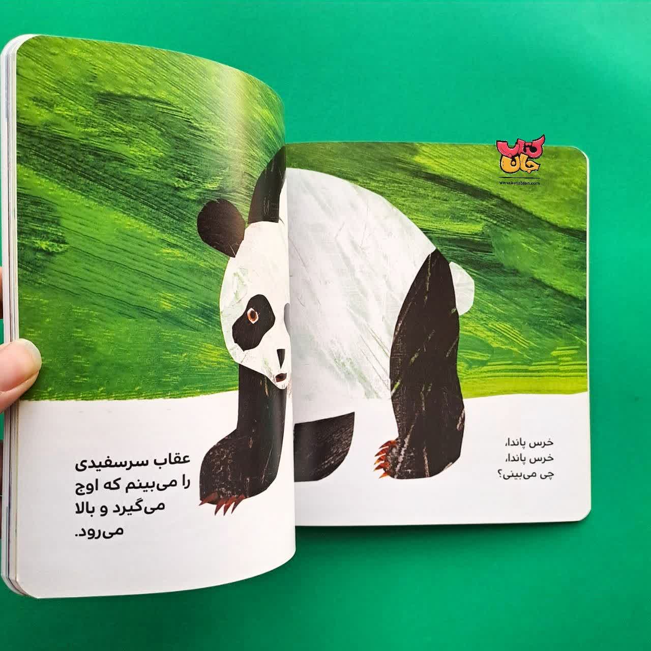 مجموعه 4 جلدی  کتاب خرس ها 