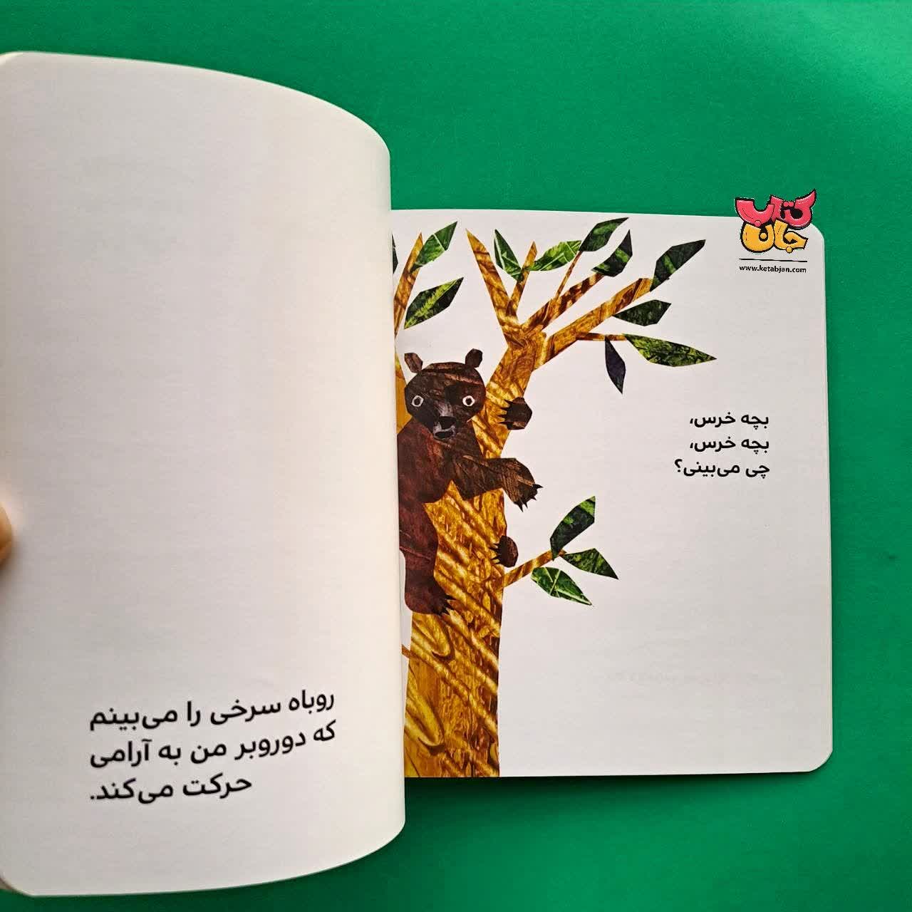 مجموعه 4 جلدی  کتاب خرس ها 