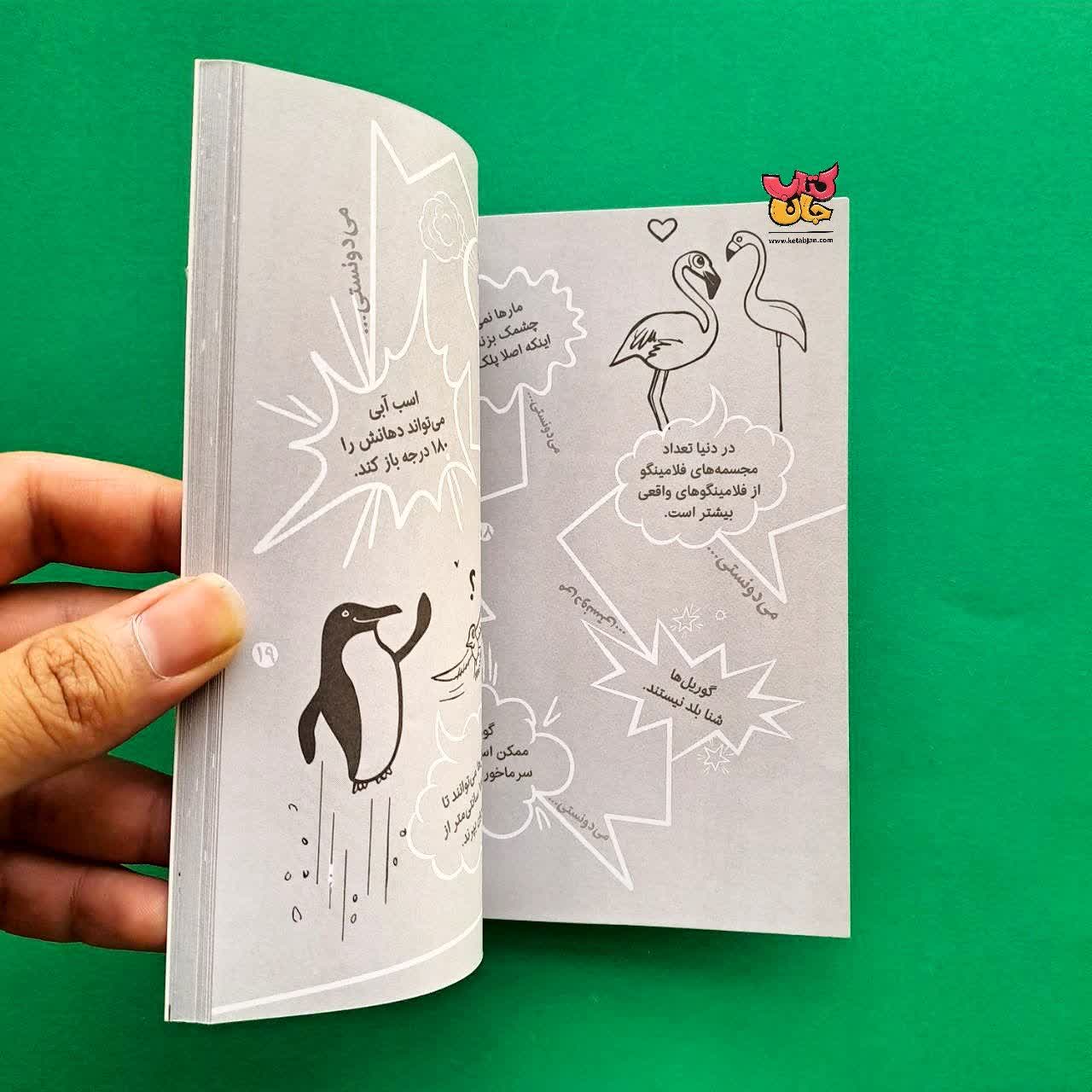 کتاب واقعیت های بامزه برای بچه های بامزه از مجموعه بامزه ها 