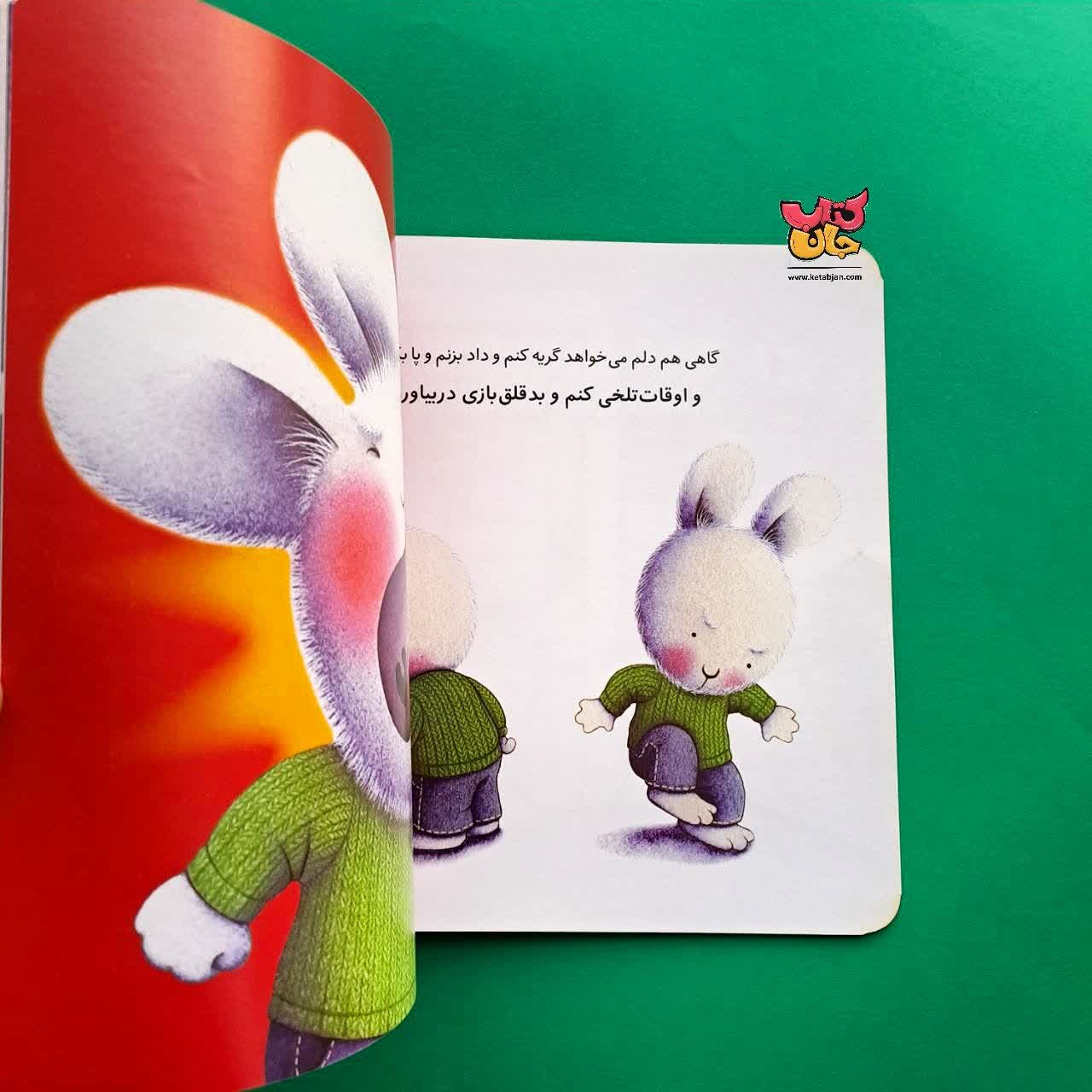 کتاب خرگوش کوچولو و احساس ناامیدی از مجموعه احساس های خرگوشی 