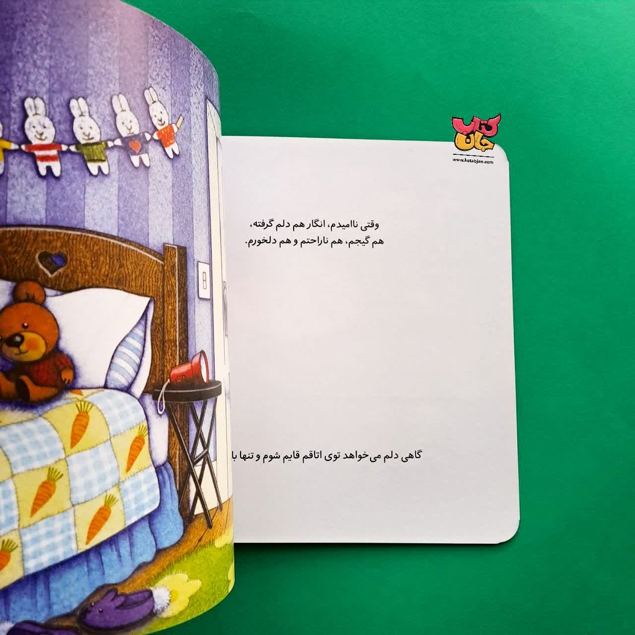 مجموعه 4 جلدی احساس های خرگوشی 