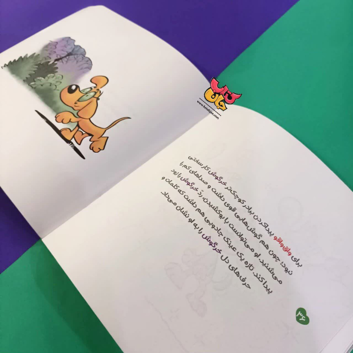 تصویر داخل کتاب 