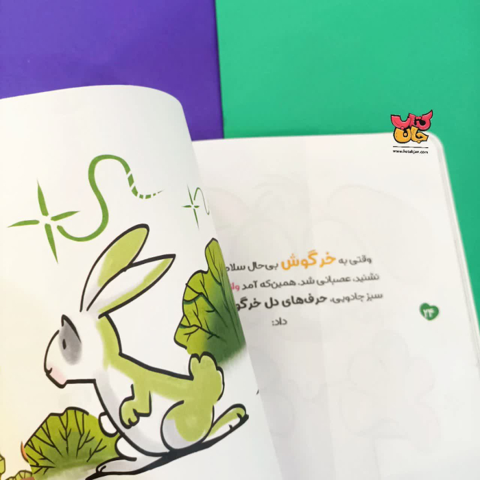 تصاویر داخل کتاب 