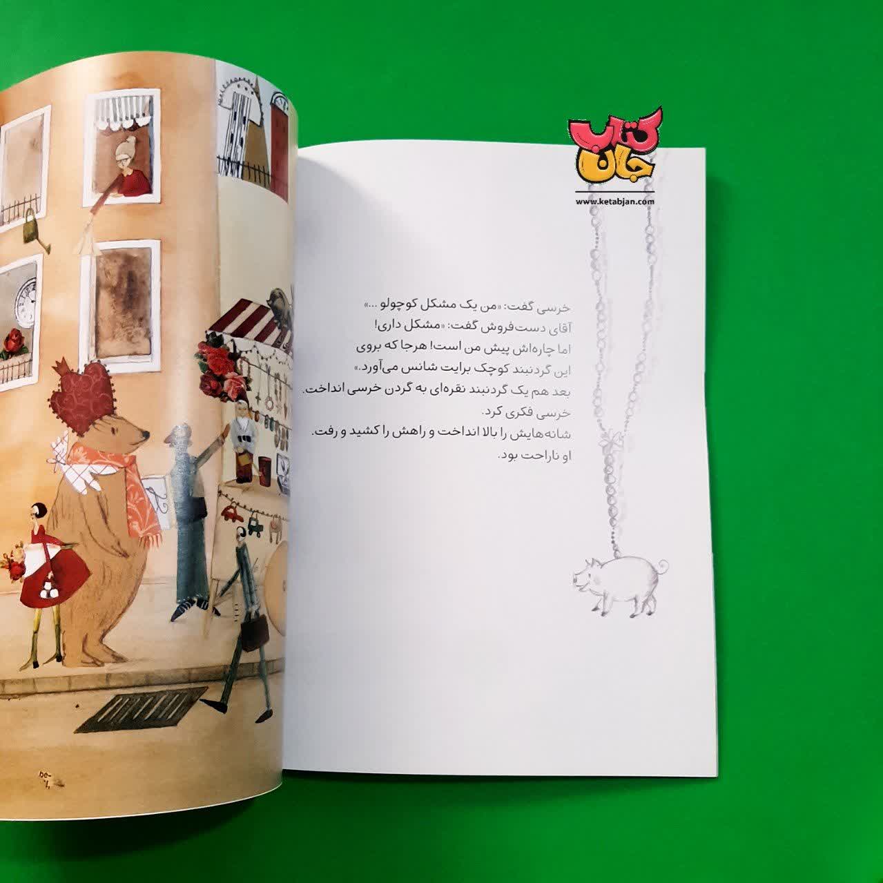 کتاب مشکل کوچولوی خرس گنده 