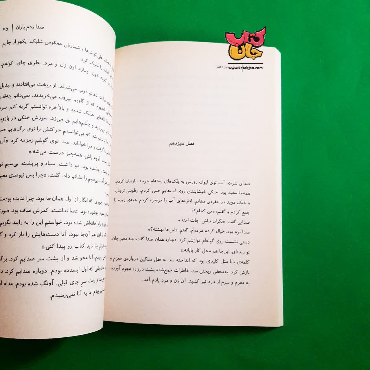 کتاب صدا زدم باران 