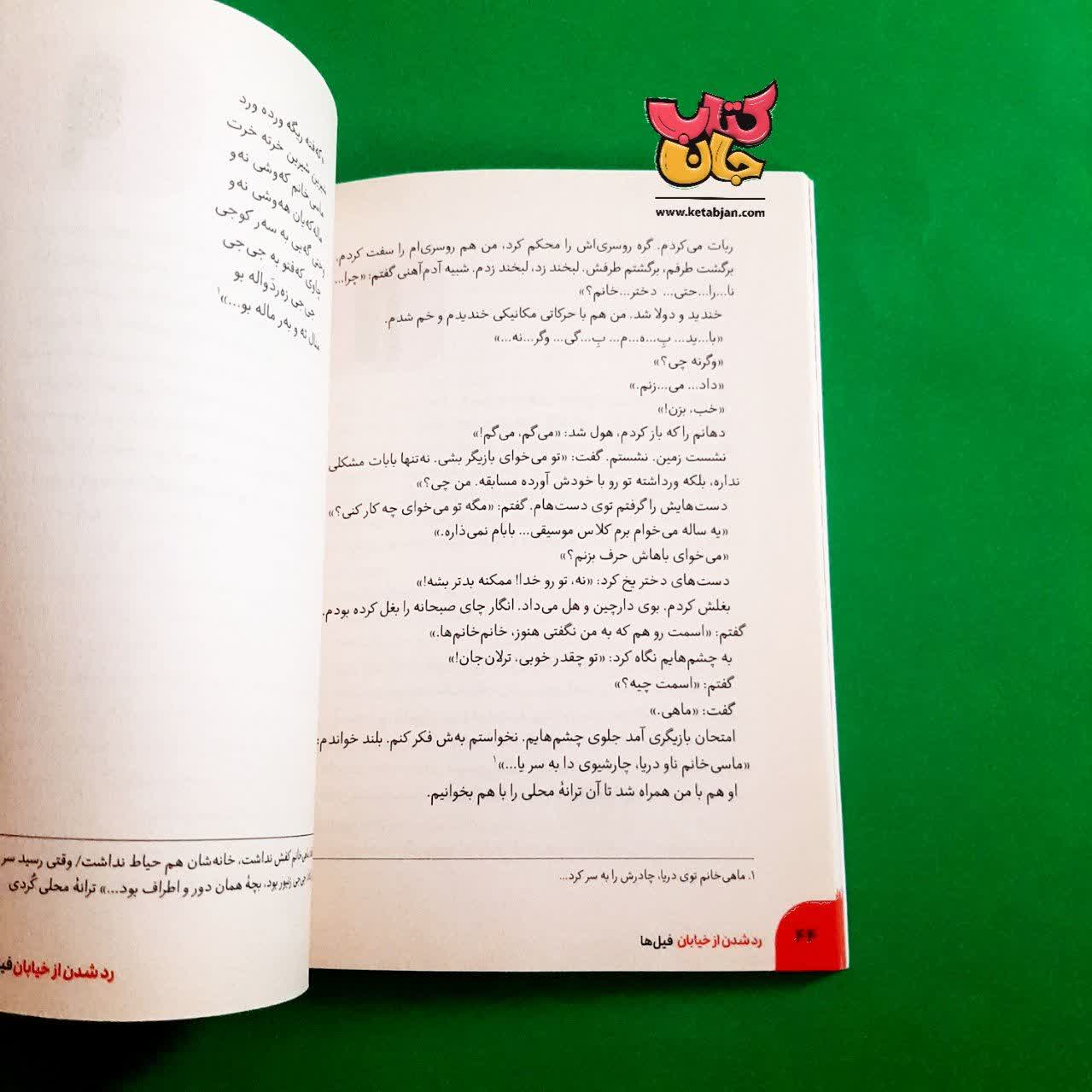 کتاب رد شدن از خیابان فیل ها