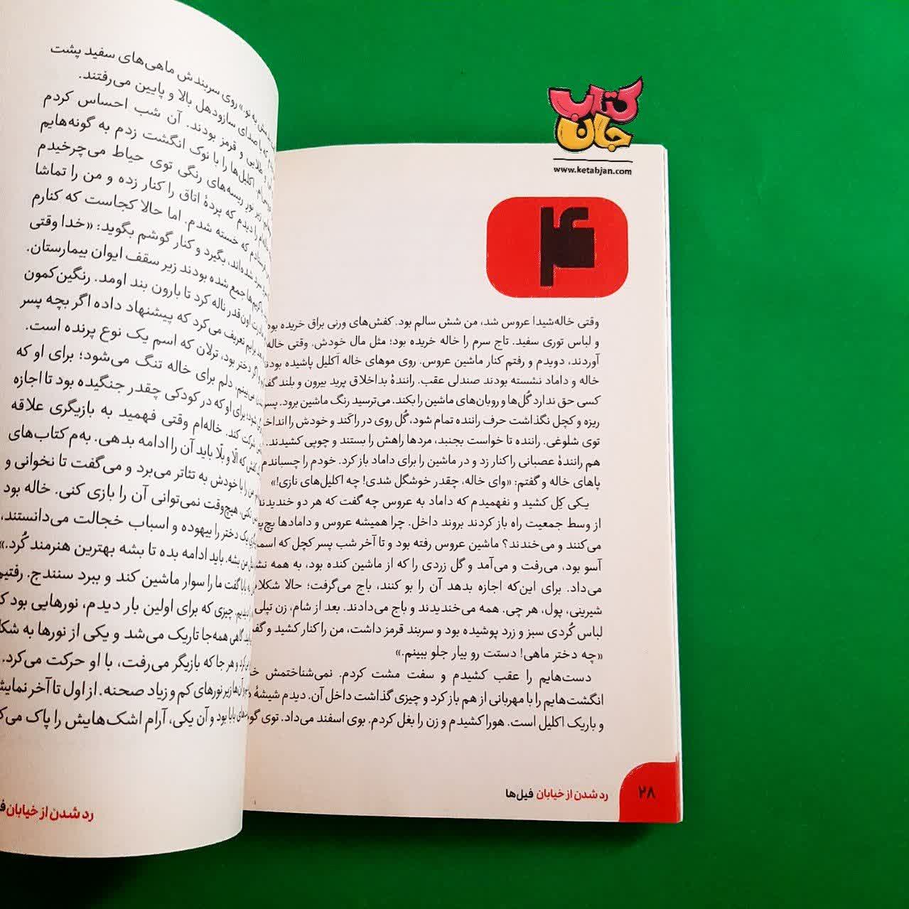 کتاب رد شدن از خیابان فیل ها
