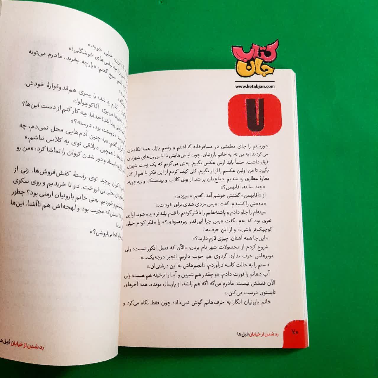 کتاب رد شدن از خیابان فیل ها
