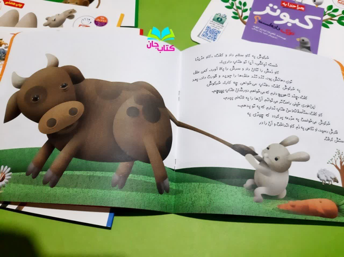 تصویر داخل کتاب 