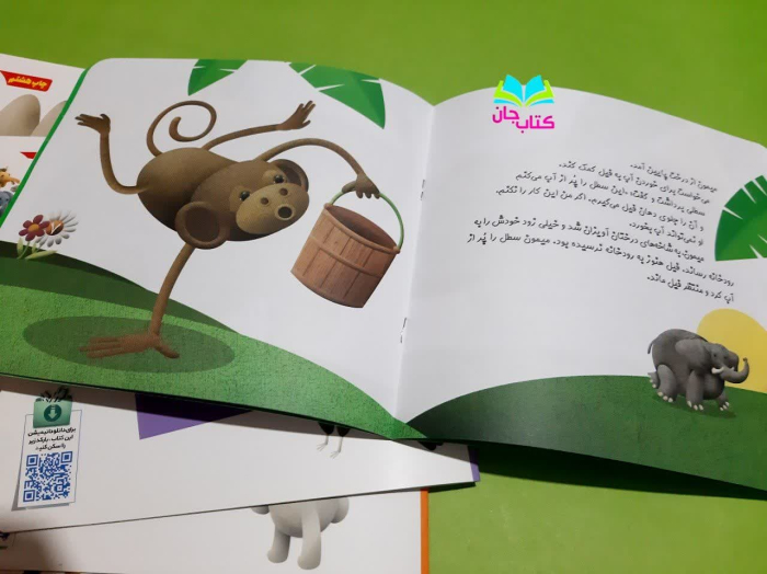 تصویر داخل کتاب 
