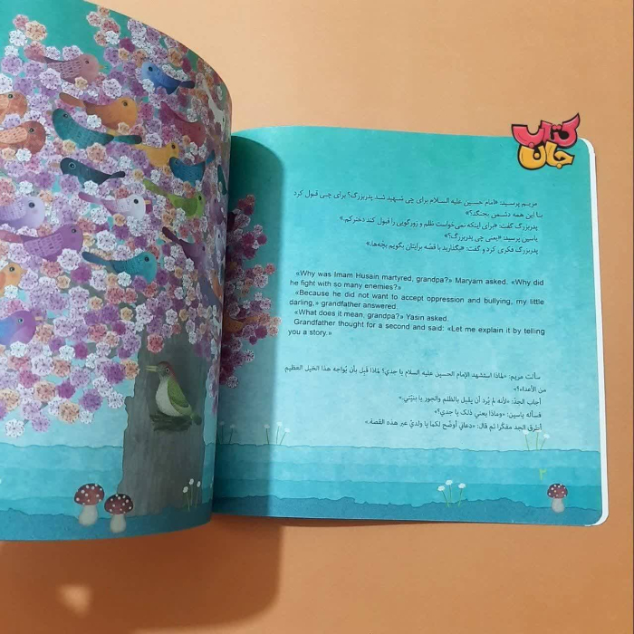تصاویر داخل کتاب 