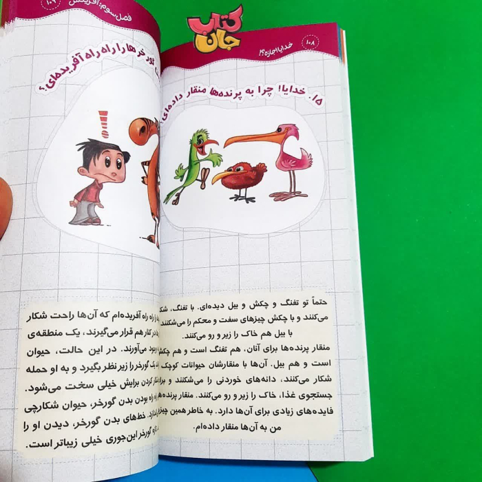 تصویر داخل کتاب 