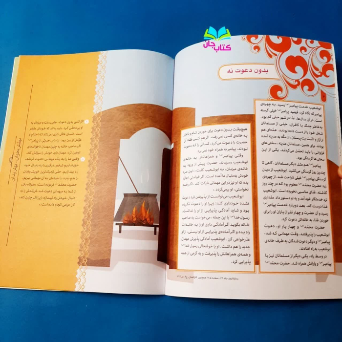 تصویر داخل کتاب 