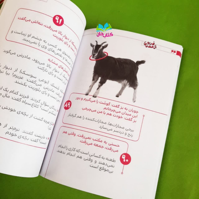 تصاویر داخل کتاب 