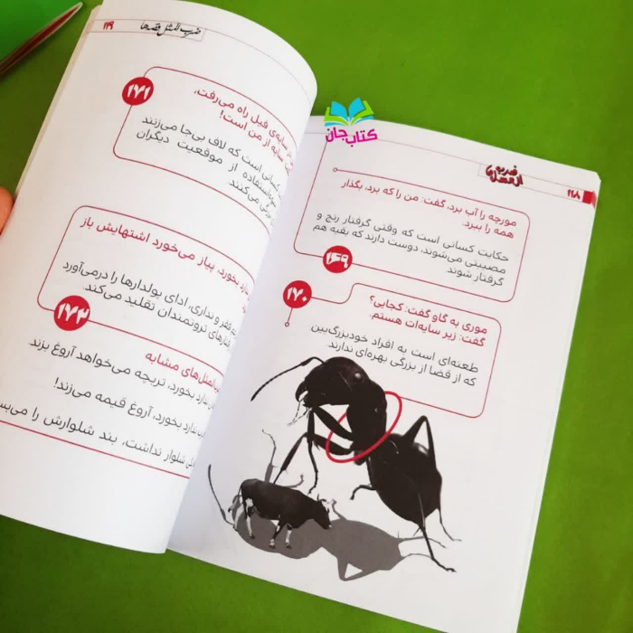 تصاویری ازداخل کتاب 