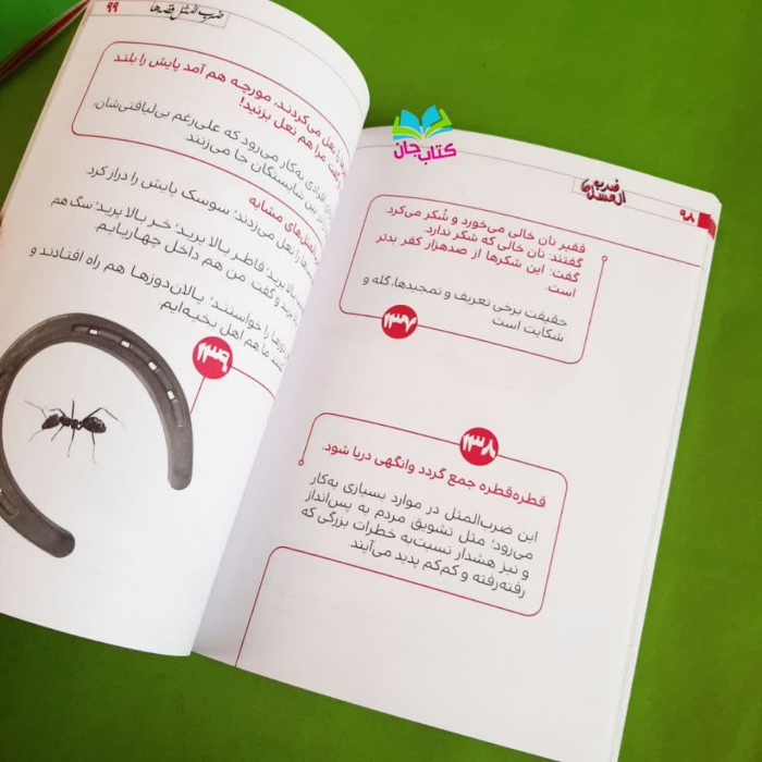 تصویر داخل کتاب 
