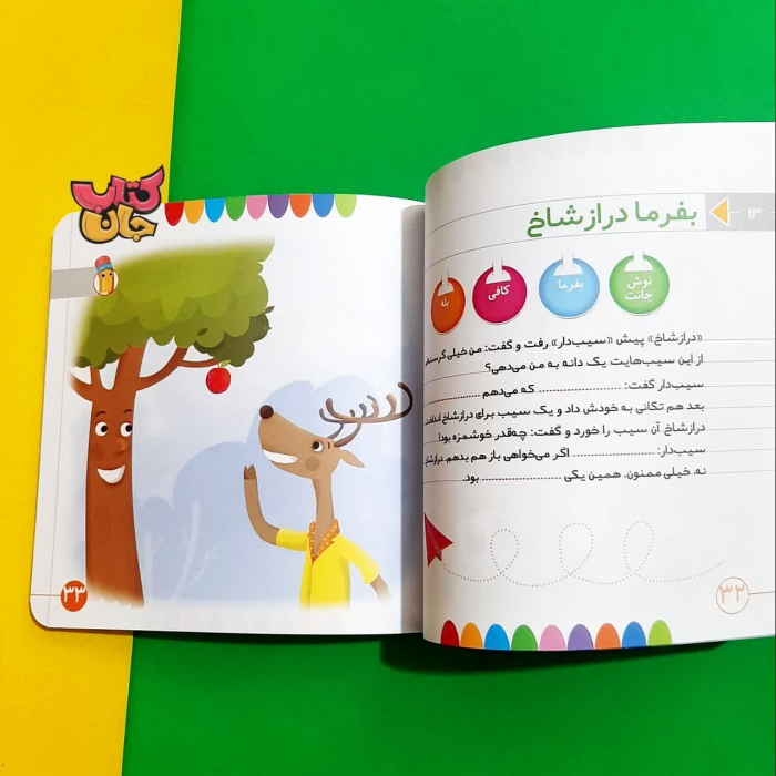 تصاویر داخل کتاب 