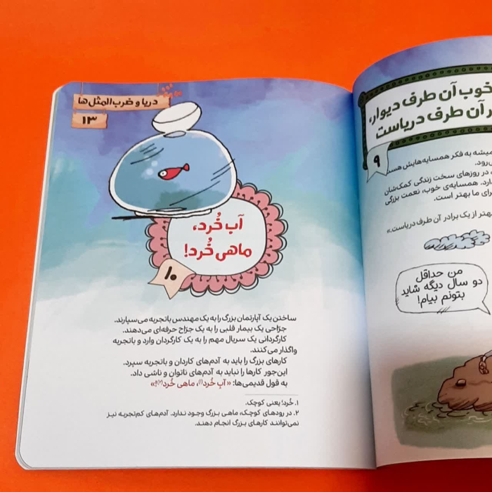 تصویر داخل کتاب 