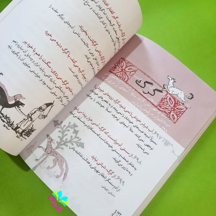 تصاویر داخل کتاب 