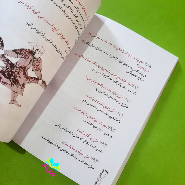 تصویر داخل کتاب 