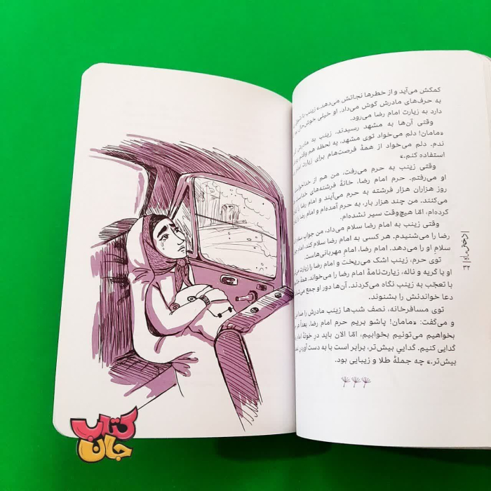 تصاویر داخل کتاب 