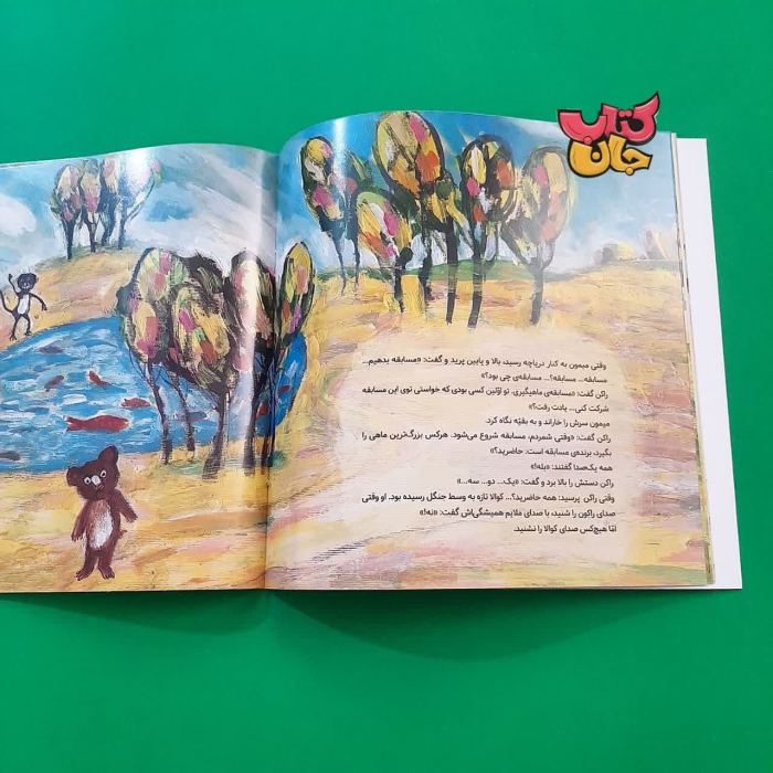 تصاویر داخل کتاب 