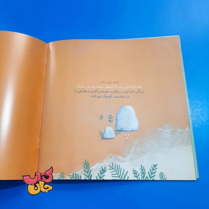 تصاویر داخل کتاب 