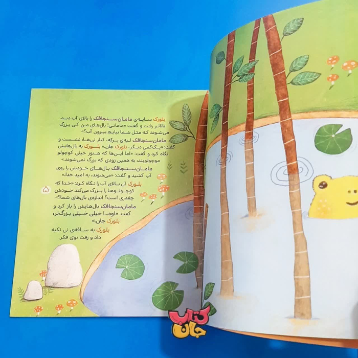 تصویر داخل کتاب 