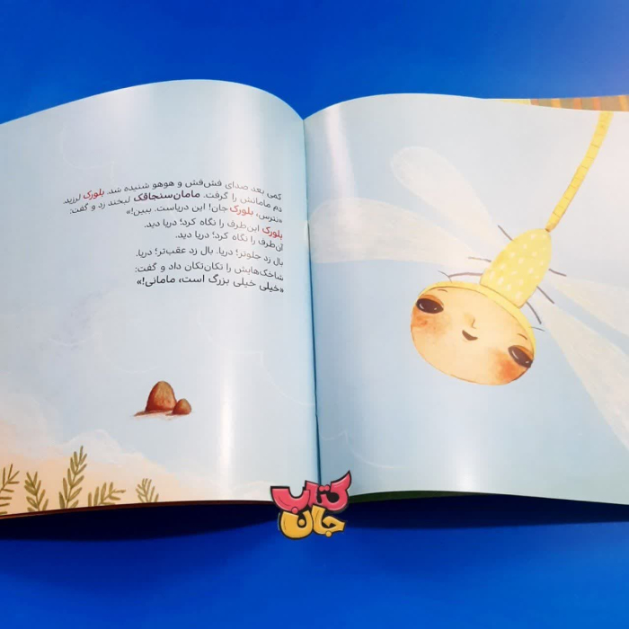 تصاویر داخل کتاب 
