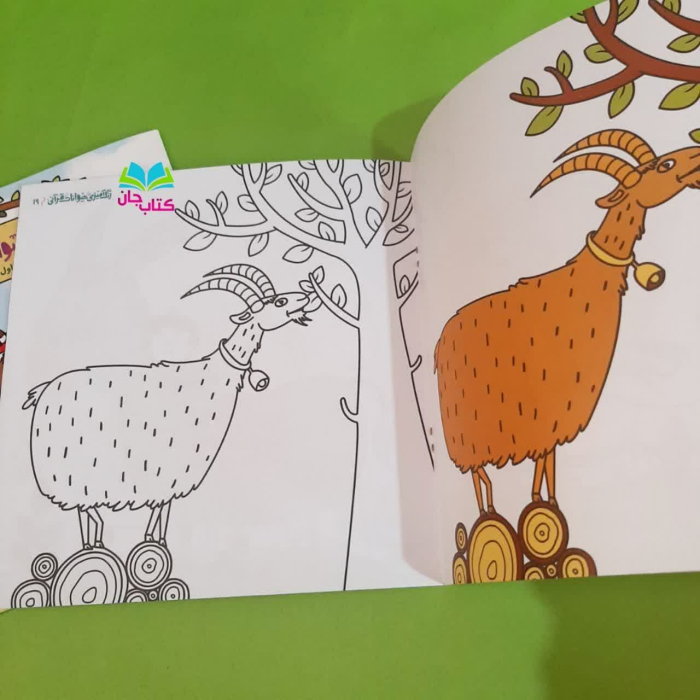 تصاویر داخل کتاب 