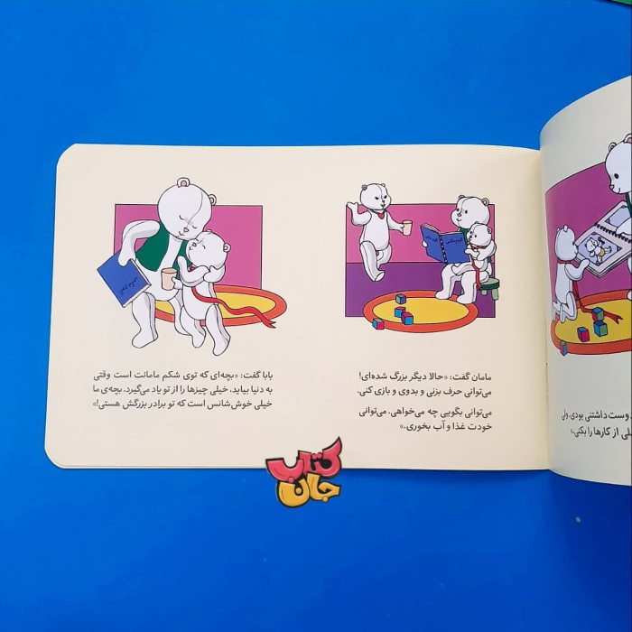 تصاویر داخل کتاب 