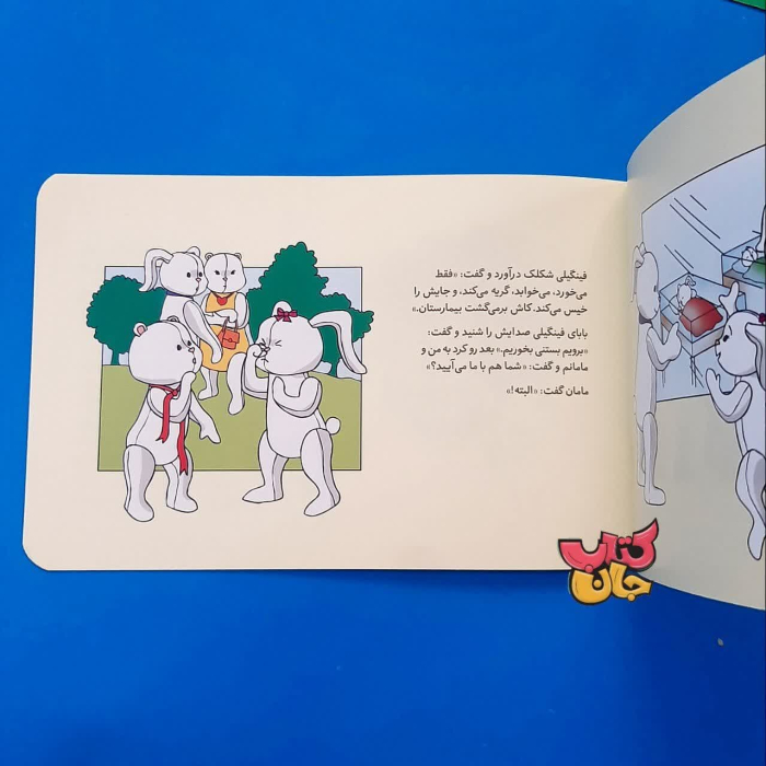 تصاویر داخل کتاب 