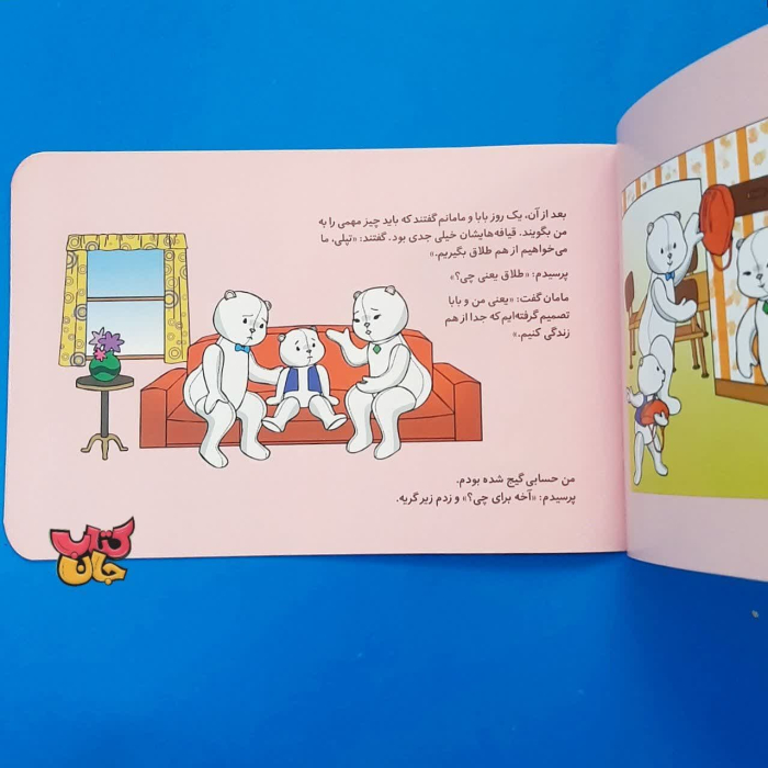 تصاویر داخل کتاب 
