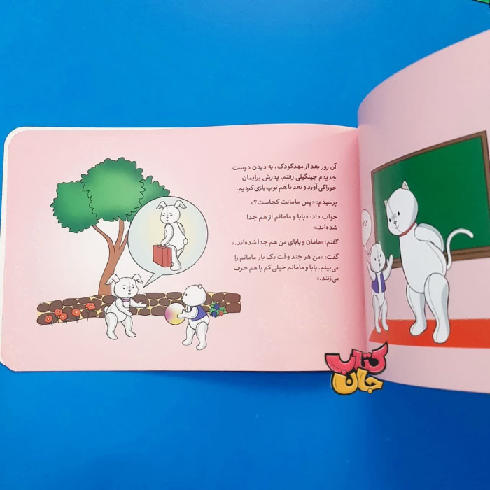 تصاویر داخل کتاب 