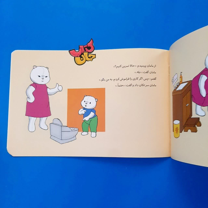 تصاویر داخل کتاب 