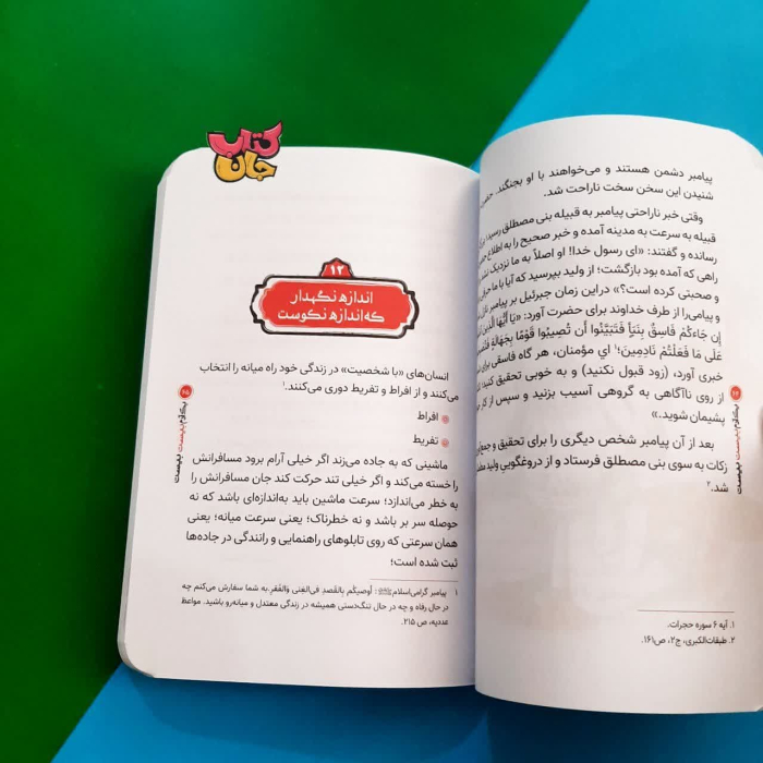 تصویر داخل کتاب 