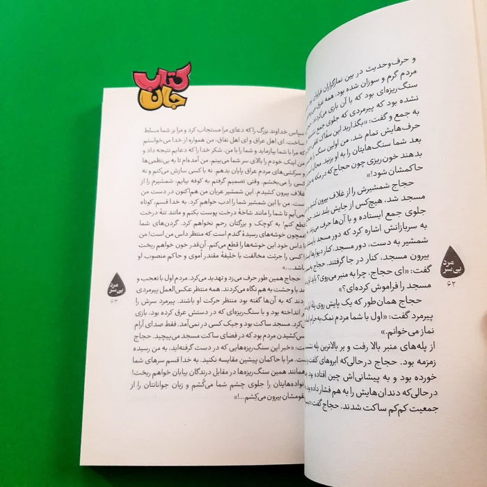 تصاویر داخل کتاب 