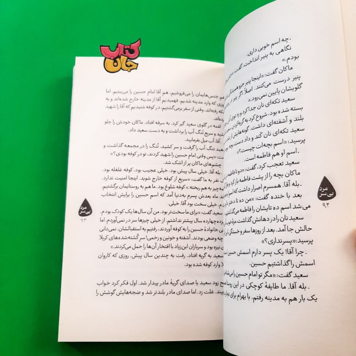 تصاویر داخل کتاب 