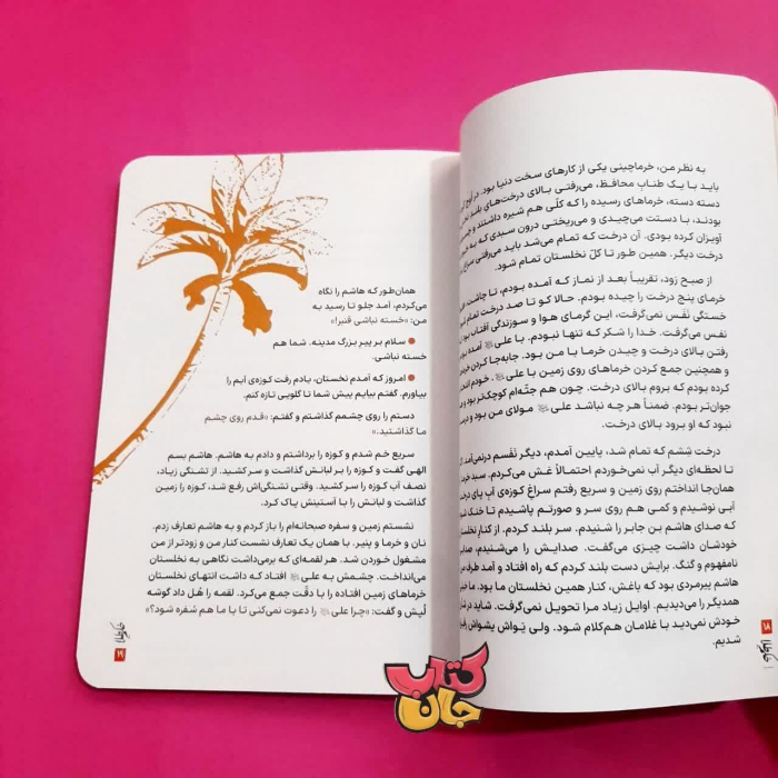 تصویر روی جلد کتاب 