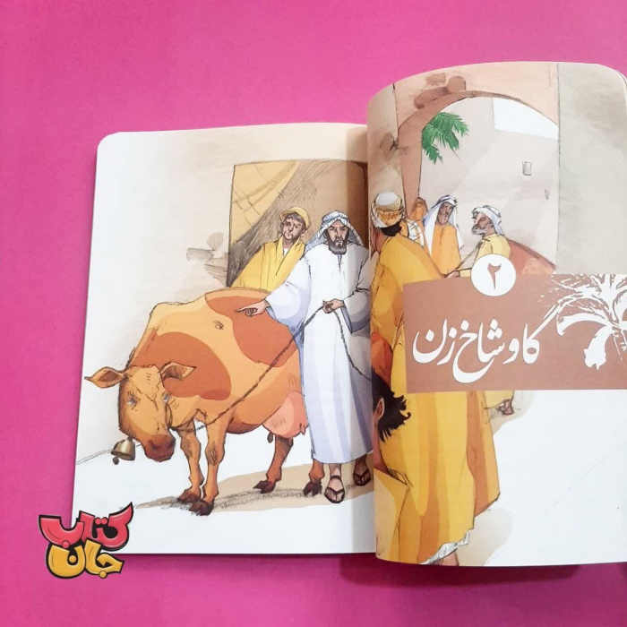 تصاویر داخل کتاب 