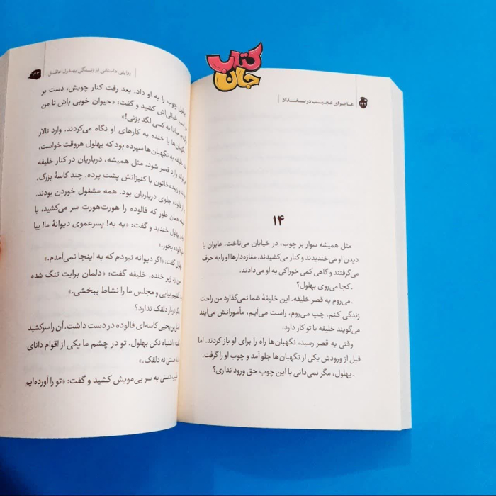 تصویر داخل کتاب 
