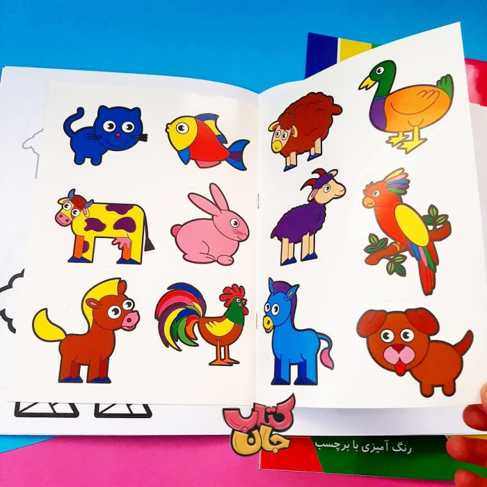 تصاویر داخل کتاب 