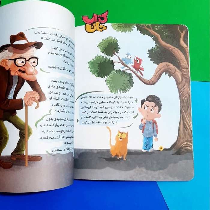 تصاویر داخل کتاب 