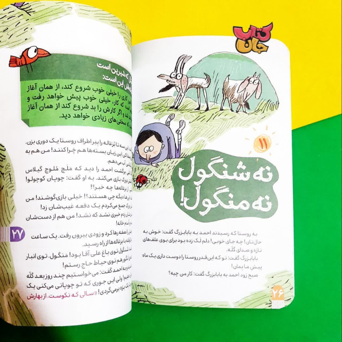 تصاویر داخل کتاب 