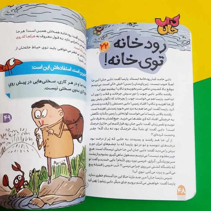 تصویر داخل کتاب 