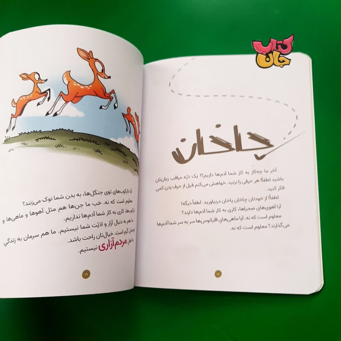 تصویر داخل کتاب 